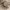 https://res.cloudinary.com/billionhands/image/upload/v1775146780/items/qd5iiejozchssjznwxkl.jpg-3cover