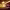 https://res.cloudinary.com/billionhands/image/upload/v1775146886/items/qb4l1qjkc37qb6t9noia.jpg-0cover