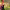 https://res.cloudinary.com/billionhands/image/upload/v1775146980/items/w8dcr3zcagbrdyqwyrwg.webp-3cover