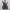 https://res.cloudinary.com/billionhands/image/upload/v1775146997/items/tpsr8k4tsu9zf3e9odet.webp-3cover