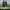 https://res.cloudinary.com/billionhands/image/upload/v1775147091/items/uwixa84zcf5eytgk8w8o.jpg-1cover