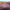 https://res.cloudinary.com/billionhands/image/upload/v1775147173/items/b2pqgn77b8ezhb32jmab.jpg-1cover