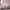 https://res.cloudinary.com/billionhands/image/upload/v1775147304/items/ve0tswg2mt4znskq7zwl.webp-2cover