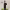 https://res.cloudinary.com/billionhands/image/upload/v1775147809/items/o2u7c5xqhvfbolfnzizj.png-1cover