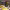 https://res.cloudinary.com/billionhands/image/upload/v1775147811/items/mjcygbkbjfkhtg7grr2r.jpg-1cover