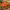 https://res.cloudinary.com/billionhands/image/upload/v1775147837/items/pxirezl4zkmpemkj9cxk.webp-2cover
