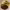 https://res.cloudinary.com/billionhands/image/upload/v1775148079/items/yeuymtdf4jay6vztu8it.jpg-0cover