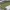 https://res.cloudinary.com/billionhands/image/upload/v1775148186/items/jkwslgcff9jacjvd9ihr.jpg-2cover
