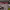 https://res.cloudinary.com/billionhands/image/upload/v1775148214/items/vfyjnhunpamzb8qd1gij.webp-3cover