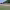 Ancient Olympic Stadium of Olympia (Olympia, Greece) cover