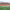 https://res.cloudinary.com/billionhands/image/upload/v1775148227/items/ufcwm6x34xunhlqhjbjs.jpg-0cover