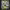 https://res.cloudinary.com/billionhands/image/upload/v1775148606/items/nefkj4qzcwvdialdodam.webp-0cover