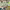 https://res.cloudinary.com/billionhands/image/upload/v1775148610/items/smjncn50isgu9alitzsb.png-2cover