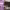 https://res.cloudinary.com/billionhands/image/upload/v1775149120/items/nefwxpf5m7gioe9dqwra.jpg-3cover