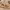 https://res.cloudinary.com/billionhands/image/upload/v1775149190/items/lh8q260jjfd0ck3qy4po.jpg-1cover