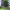 https://res.cloudinary.com/billionhands/image/upload/v1775149277/items/lsnp581b6q07ijbxifwz.webp-3cover