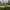 https://res.cloudinary.com/billionhands/image/upload/v1775149285/items/rpmdm1xhxh7talzm2zqx.jpg-3cover