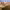 https://res.cloudinary.com/billionhands/image/upload/v1775149289/items/hepx40xtuajrgodtvx7c.jpg-3cover