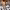 https://res.cloudinary.com/billionhands/image/upload/v1775149953/items/pz9y6zbp16sxydctctzb.jpg-0cover