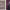 https://res.cloudinary.com/billionhands/image/upload/v1775150134/items/kztrgzrybuv2jn8n6kds.jpg-3cover