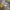https://res.cloudinary.com/billionhands/image/upload/v1775150138/items/gekcroupzj8qyjiakxn1.jpg-2cover