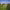 https://res.cloudinary.com/billionhands/image/upload/v1775150337/items/em8qkl1josrq1qlat8g6.jpg-0cover