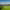https://res.cloudinary.com/billionhands/image/upload/v1775150337/items/lchfu4nxdrns2zmpnrkv.jpg-1cover