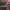 https://res.cloudinary.com/billionhands/image/upload/v1775150337/items/tpevrnnjzxt8s2wkbprz.webp-2cover