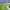 https://res.cloudinary.com/billionhands/image/upload/v1775150338/items/uzvw4xopwgka9ulx2bpd.jpg-1cover