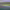 https://res.cloudinary.com/billionhands/image/upload/v1775150341/items/mfqbsvrs8jb1wfr9tvn2.jpg-3cover