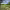 https://res.cloudinary.com/billionhands/image/upload/v1775150343/items/me00i8neo6ipml0qkvq0.png-1cover