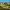 https://res.cloudinary.com/billionhands/image/upload/v1775150350/items/fhunf3dgmztn9hfpkzlt.jpg-2cover