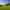 https://res.cloudinary.com/billionhands/image/upload/v1775150360/items/vrxnamobl2hux1djbqyd.jpg-3cover