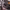 https://res.cloudinary.com/billionhands/image/upload/v1775150427/items/dujy6sbxncdflk00i6dj.webp-3cover