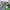 https://res.cloudinary.com/billionhands/image/upload/v1775150444/items/gxzvl8kmg0nsvu03di0e.jpg-0cover
