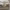https://res.cloudinary.com/billionhands/image/upload/v1775150446/items/iwxiqnhf84ocwmft12ej.jpg-2cover