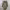 https://res.cloudinary.com/billionhands/image/upload/v1775150493/items/axa1wiavyiy19w70veej.webp-1cover