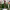 https://res.cloudinary.com/billionhands/image/upload/v1775150502/items/xftciko8vcsw2oxnlrx6.jpg-2cover