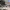 https://res.cloudinary.com/billionhands/image/upload/v1775150504/items/g3wqp19adinrfnhglnum.webp-0cover