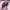 https://res.cloudinary.com/billionhands/image/upload/v1775150514/items/wsvlke5jbvj0onvrv5sk.jpg-2cover