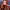 Emma Roberts - Copper Cowboy (2025) cover