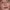https://res.cloudinary.com/billionhands/image/upload/v1775150598/items/hqx9esljscw1vuewn6or.webp-2cover