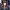 https://res.cloudinary.com/billionhands/image/upload/v1775150645/items/yeripkgbt035fryuci80.avif-3cover