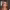 https://res.cloudinary.com/billionhands/image/upload/v1775150652/items/ifi4lfe7bphfkqvpmpe5.jpg-3cover