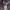 https://res.cloudinary.com/billionhands/image/upload/v1775150660/items/cdiz19gcbrmyrrlwwwqi.avif-3cover