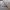 https://res.cloudinary.com/billionhands/image/upload/v1775150692/items/l12o8g65qxnjtbpl7vt6.jpg-2cover