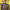 https://res.cloudinary.com/billionhands/image/upload/v1775150696/items/kkyinlvh6dd5mimziwkf.avif-2cover
