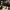 https://res.cloudinary.com/billionhands/image/upload/v1775151070/items/jadyznzze2y7sobcaahm.webp-2cover