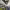 https://res.cloudinary.com/billionhands/image/upload/v1775151081/items/utzuw1tobqw4jbnuvjny.jpg-1cover