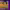 https://res.cloudinary.com/billionhands/image/upload/v1775152676/items/bdp20dwdku9llwbiqswj.jpg-1cover